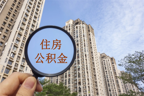 温县离职多久可以取住房公积金(离职多久后能取公积金) 温县离职多久可以取住房公积金(离职多久后能取公积金)